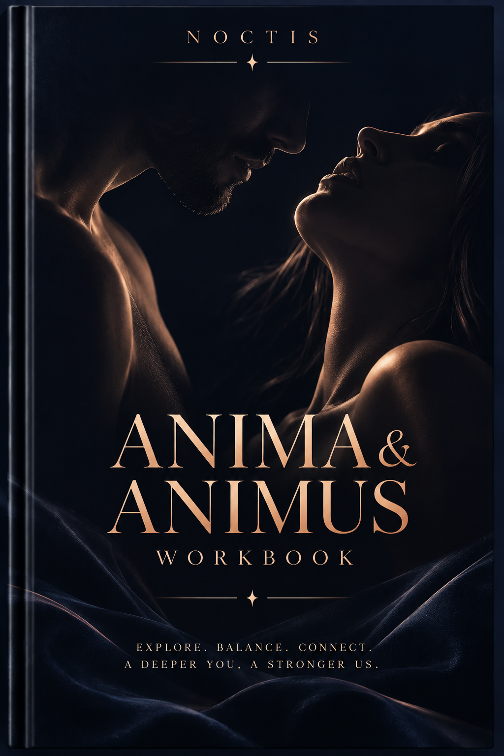 NOCTIS- Anima & Animus Workbook